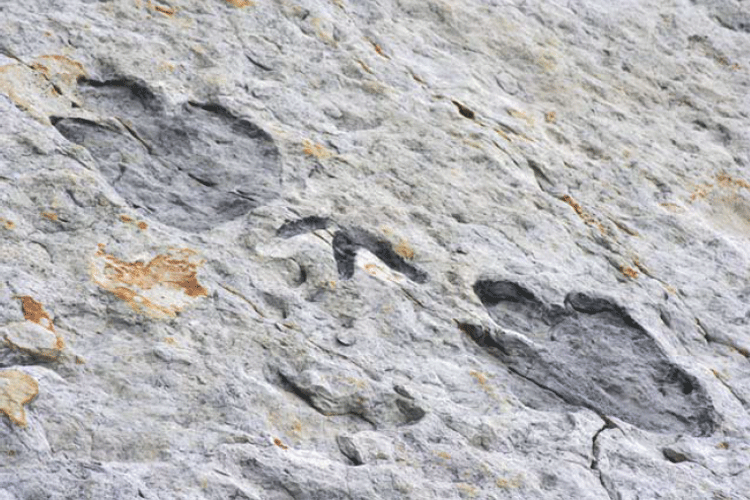 Footprints in rock.